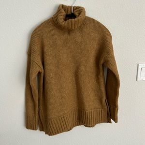 Everlane wool turtleneck sweater